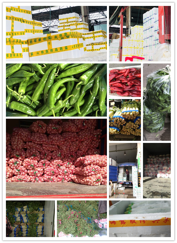 首页| J9集团国际站官方网站