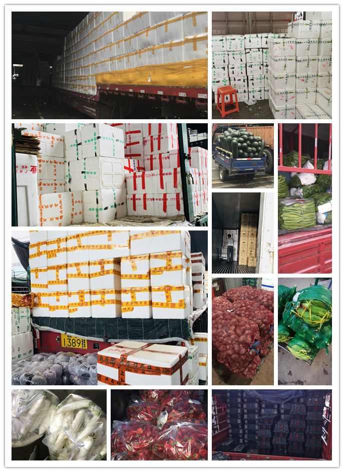 首页| J9集团国际站官方网站