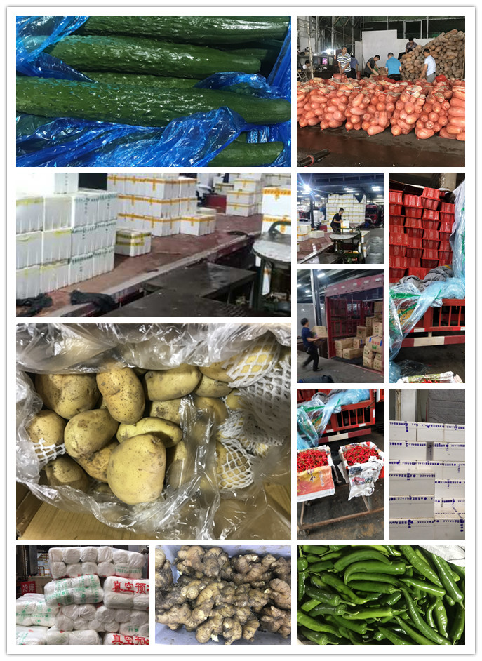 首页| J9集团国际站官方网站