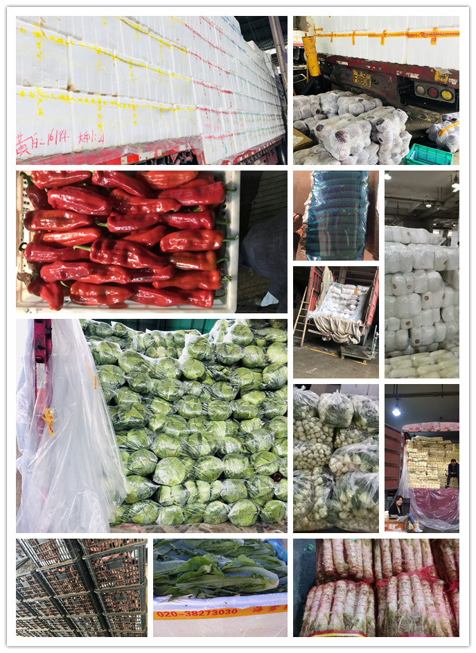 首页| J9集团国际站官方网站