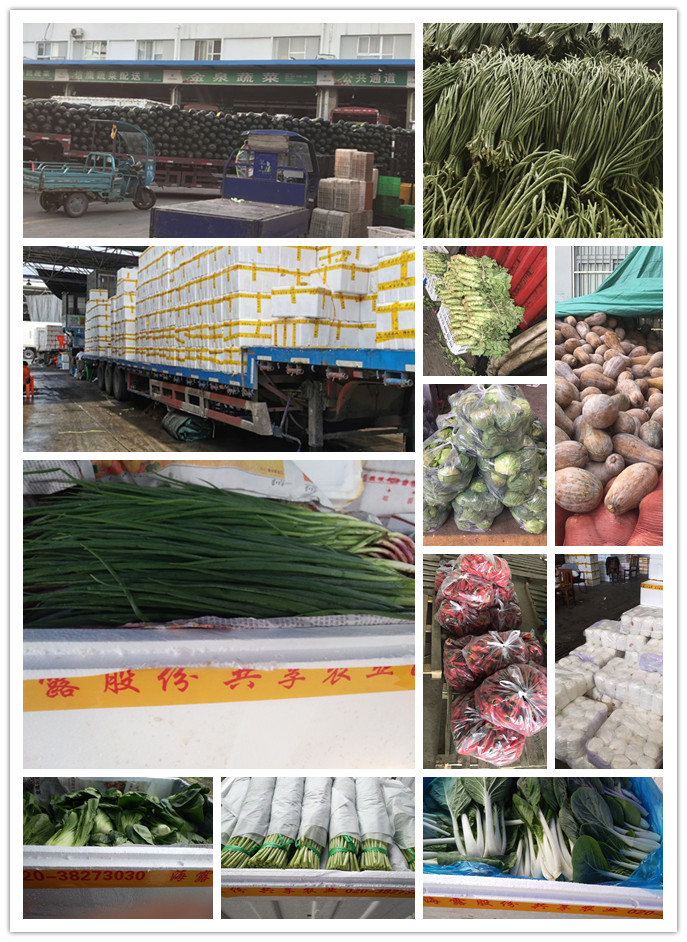 首页| J9集团国际站官方网站