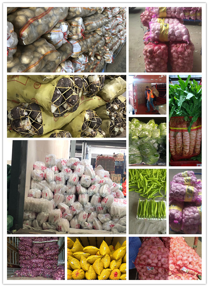 首页| J9集团国际站官方网站