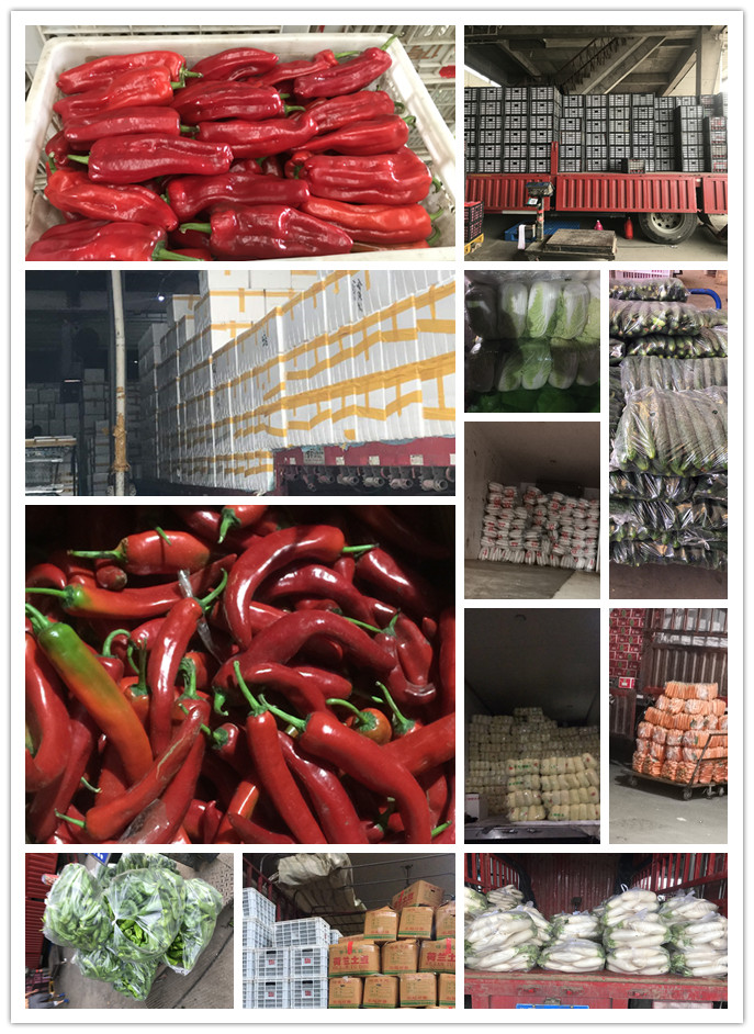 首页| J9集团国际站官方网站