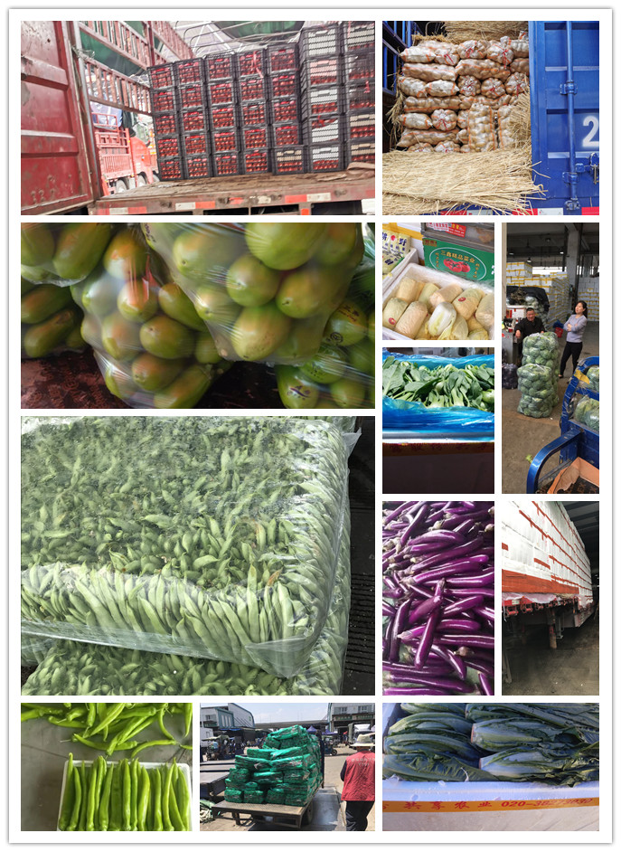 首页| J9集团国际站官方网站