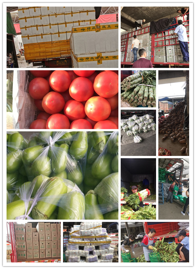 首页| J9集团国际站官方网站