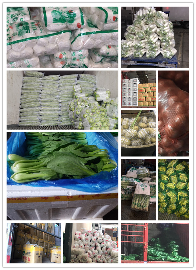 首页| J9集团国际站官方网站