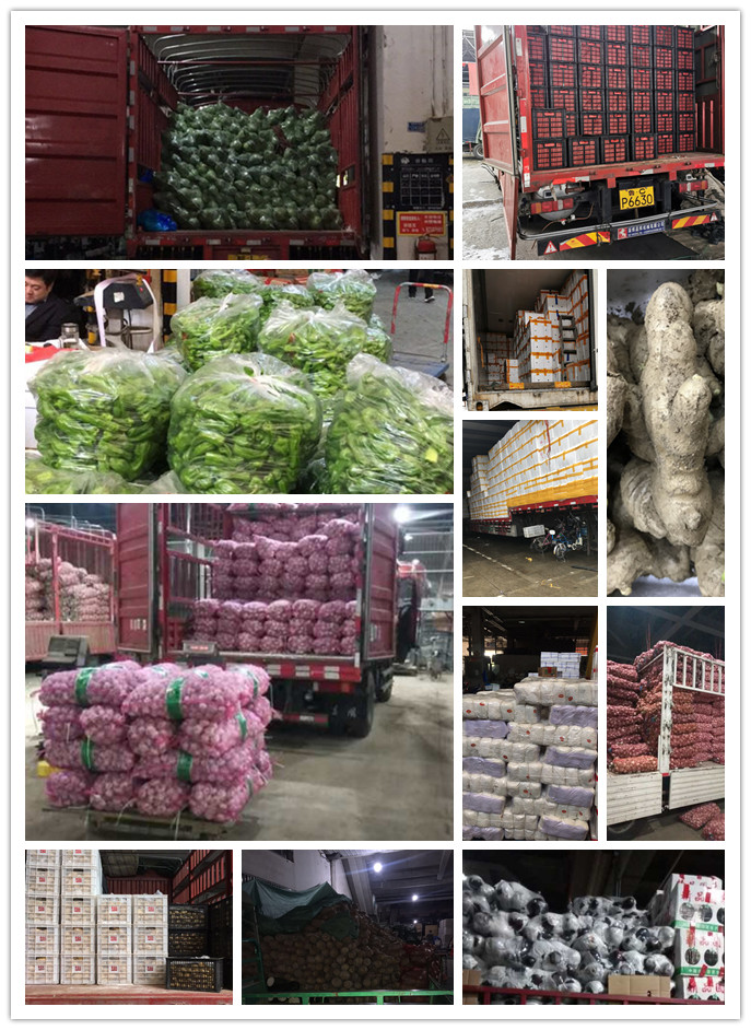 首页| J9集团国际站官方网站