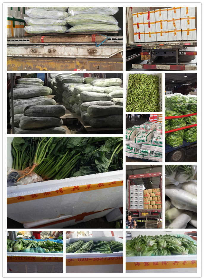 首页| J9集团国际站官方网站