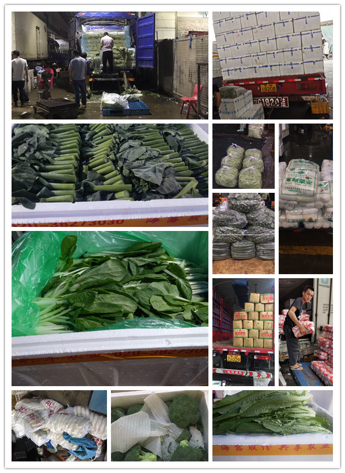 首页| J9集团国际站官方网站