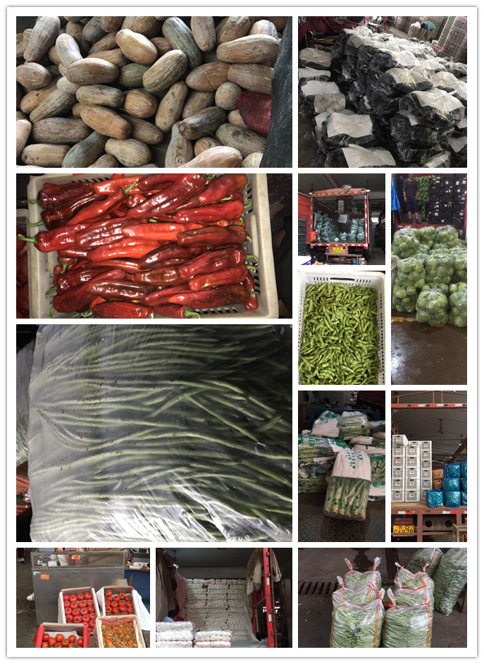 首页| J9集团国际站官方网站