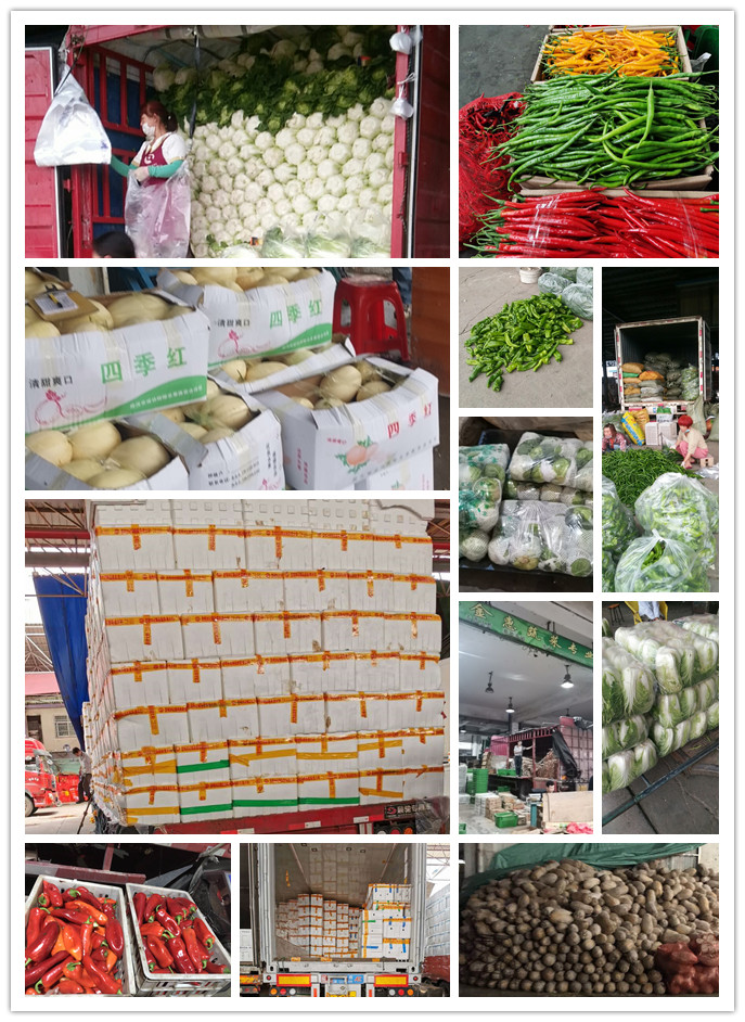 首页| J9集团国际站官方网站