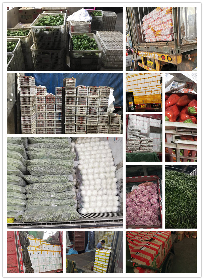 首页| J9集团国际站官方网站