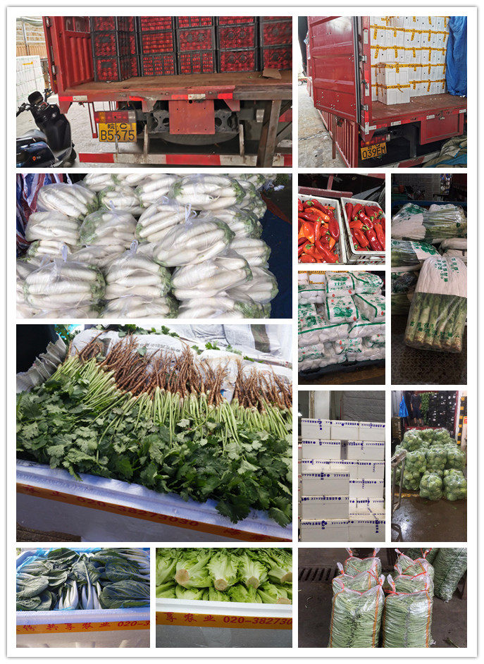 首页| J9集团国际站官方网站