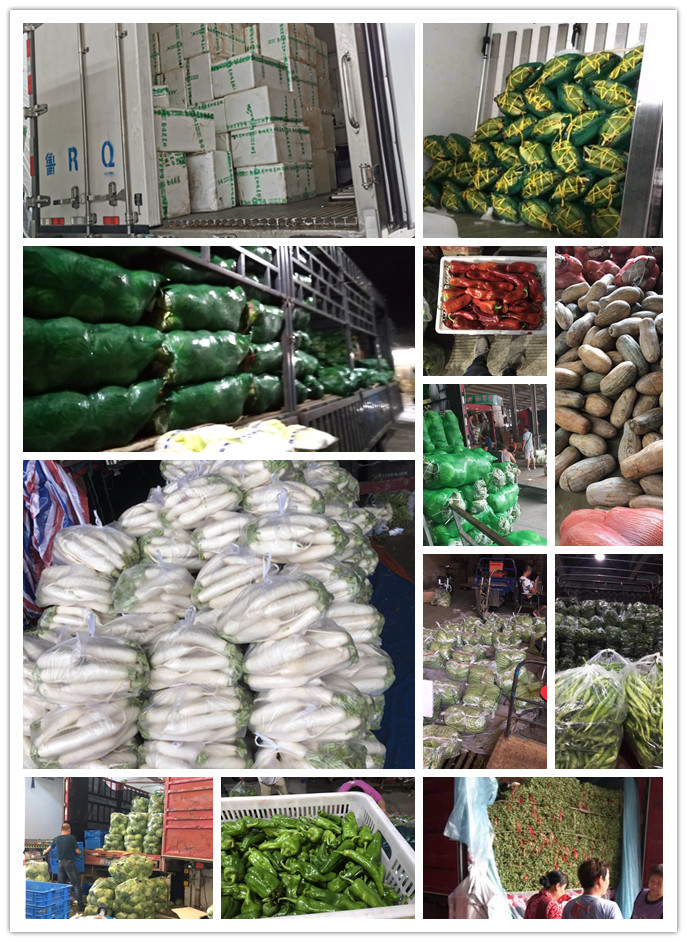 首页| J9集团国际站官方网站