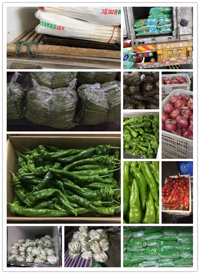 首页| J9集团国际站官方网站