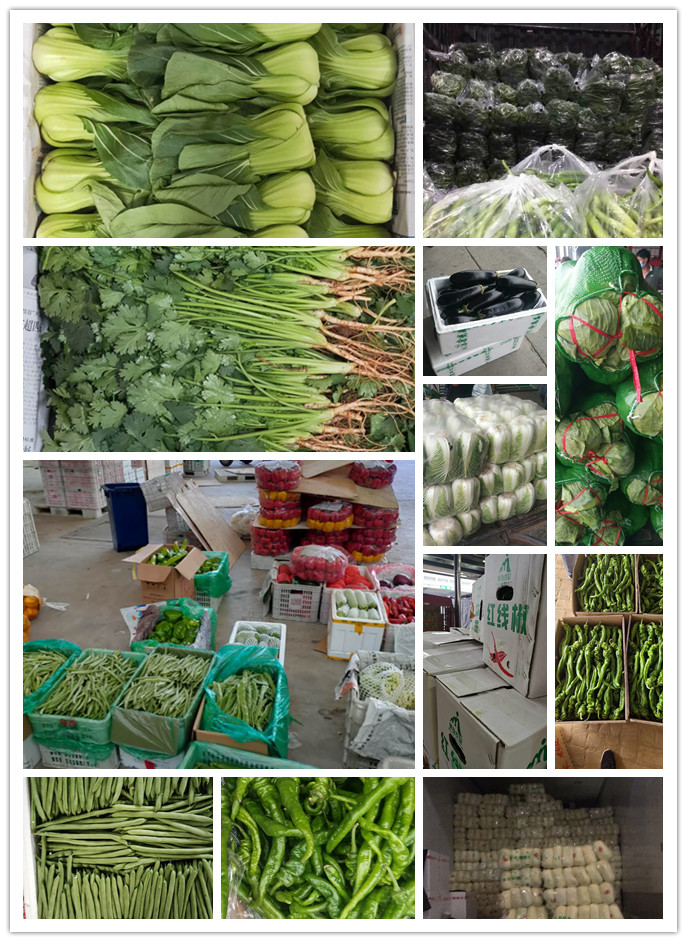 首页| J9集团国际站官方网站