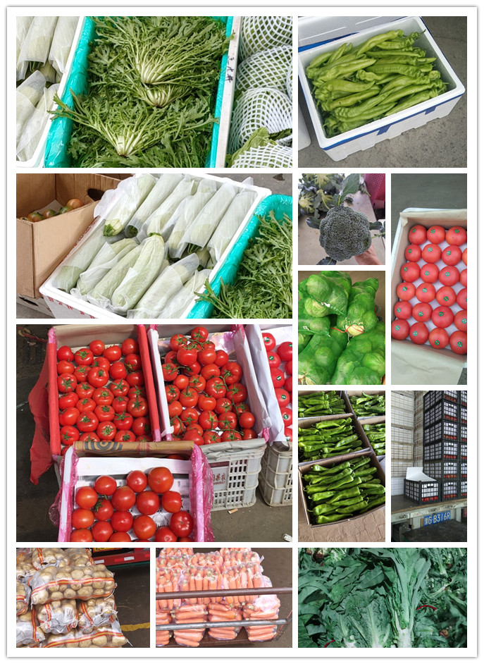 首页| J9集团国际站官方网站