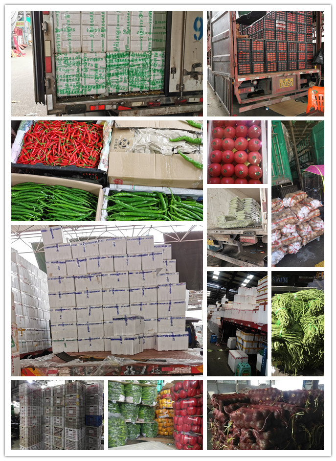 首页| J9集团国际站官方网站