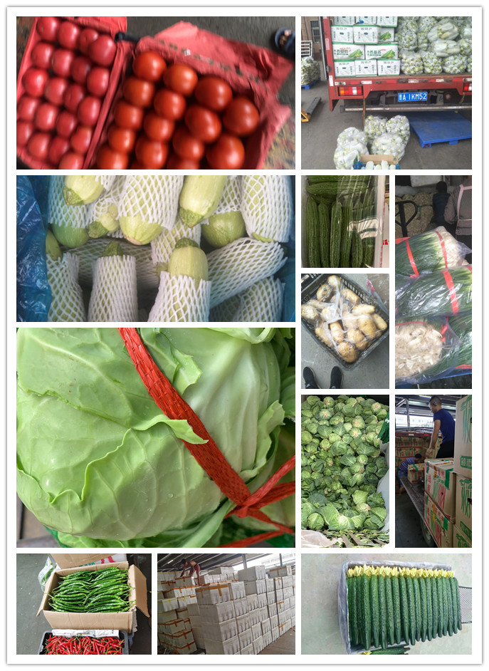 首页| J9集团国际站官方网站