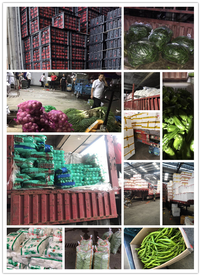 首页| J9集团国际站官方网站