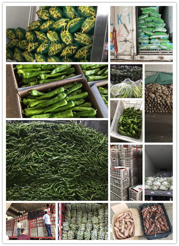 首页| J9集团国际站官方网站