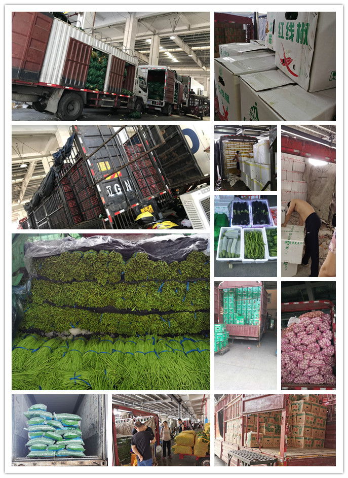 首页| J9集团国际站官方网站