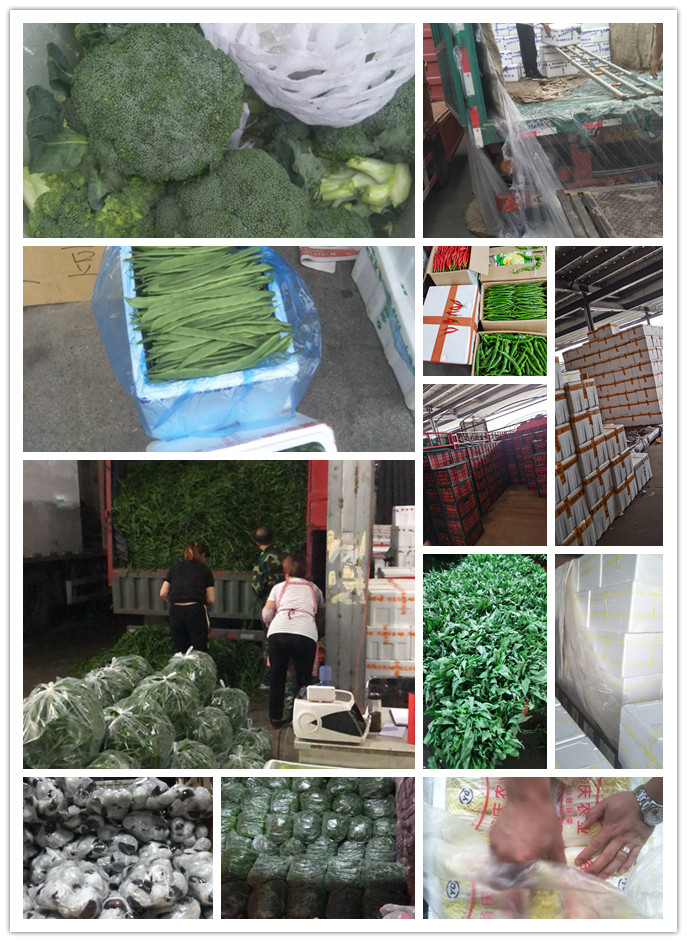 首页| J9集团国际站官方网站