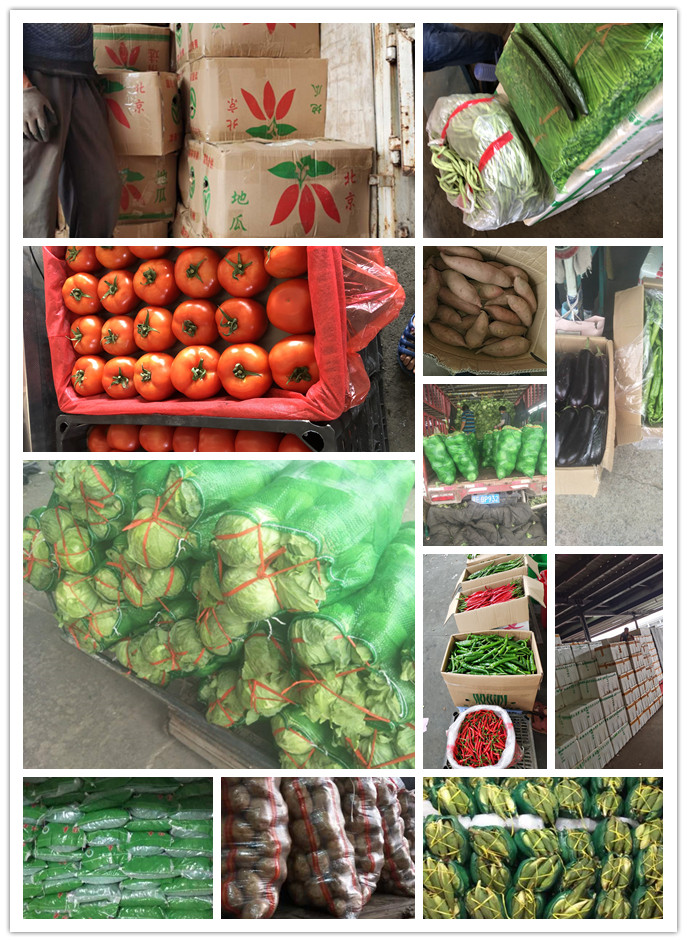 首页| J9集团国际站官方网站