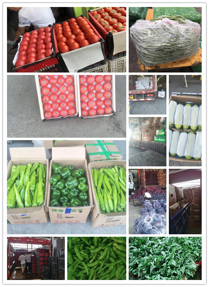 首页| J9集团国际站官方网站