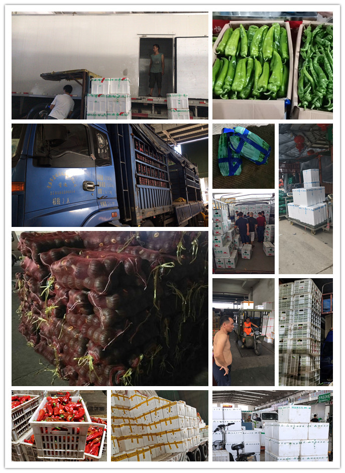 首页| J9集团国际站官方网站