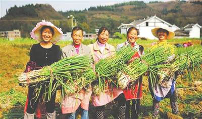 首页| J9集团国际站官方网站