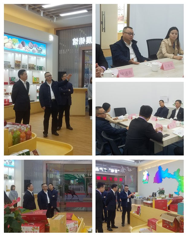 首页| J9集团国际站官方网站