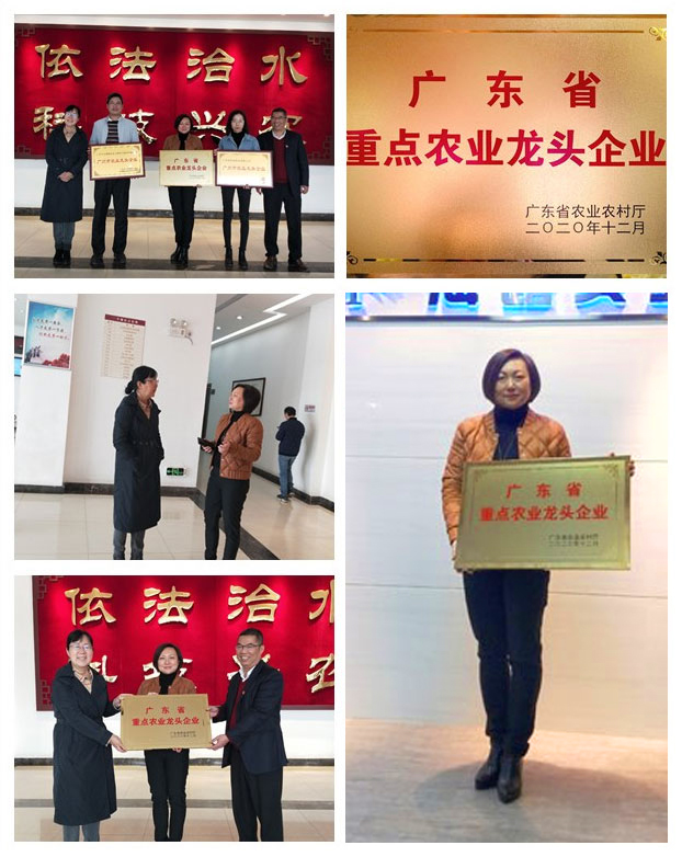 首页| J9集团国际站官方网站