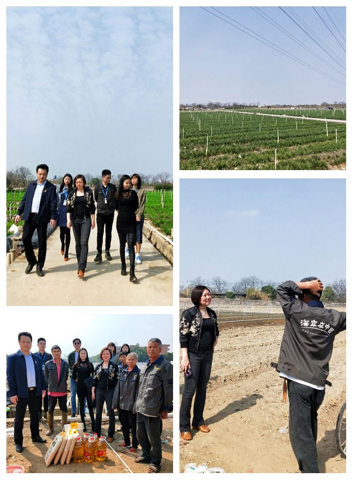 首页| J9集团国际站官方网站