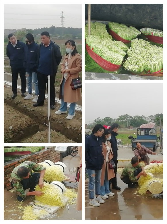 首页| J9集团国际站官方网站