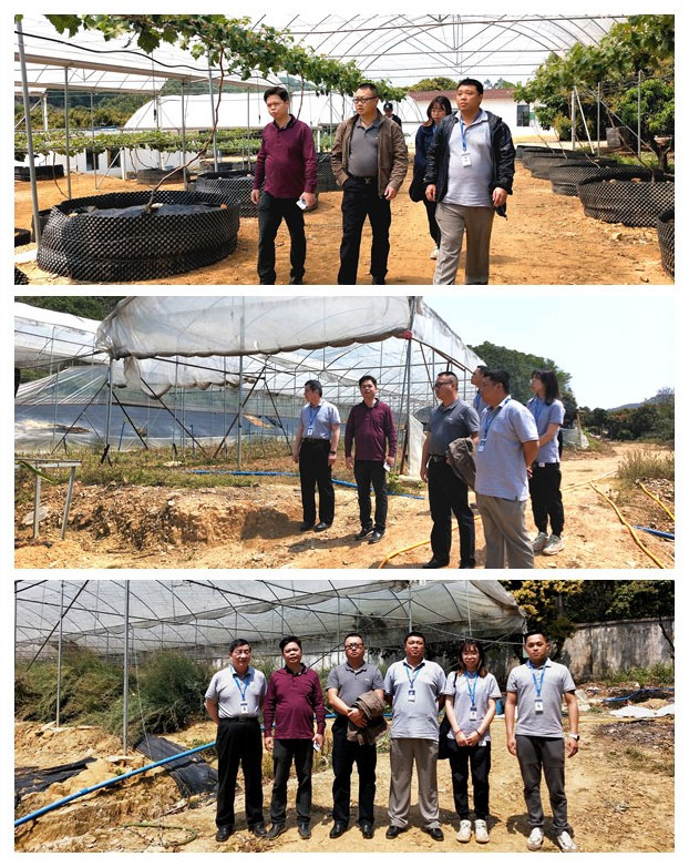 首页| J9集团国际站官方网站