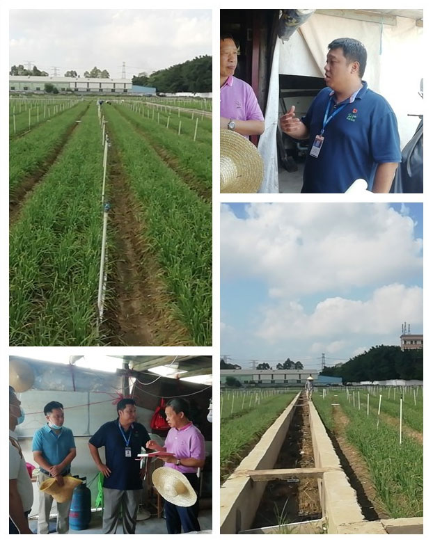 首页| J9集团国际站官方网站