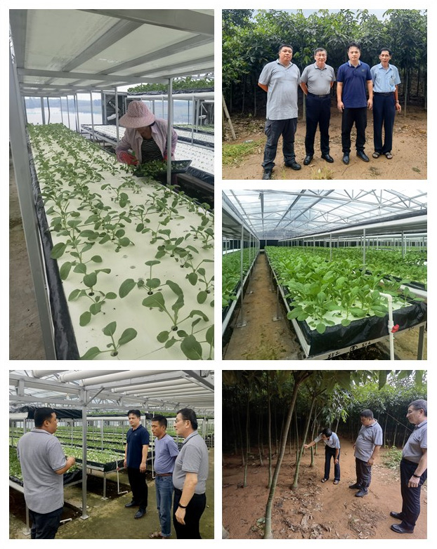 首页| J9集团国际站官方网站