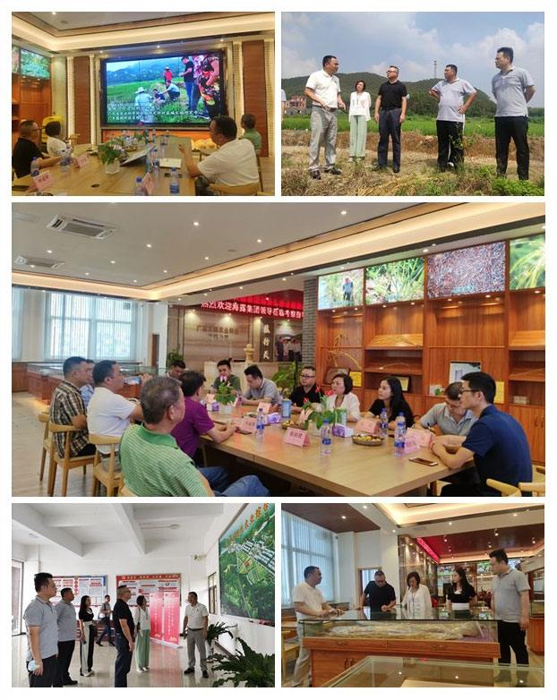 首页| J9集团国际站官方网站