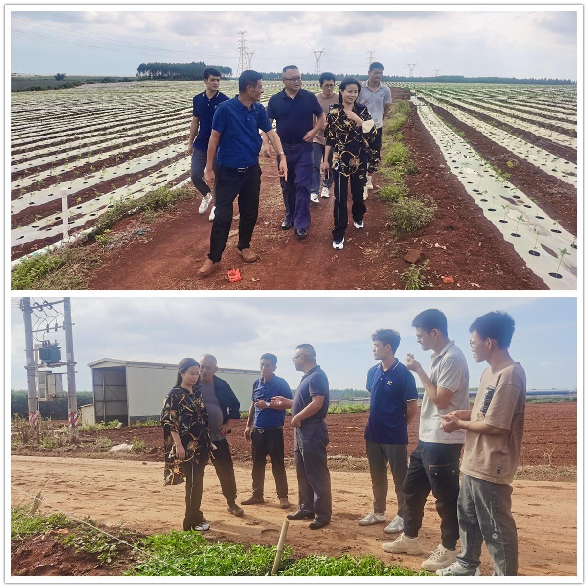 首页| J9集团国际站官方网站