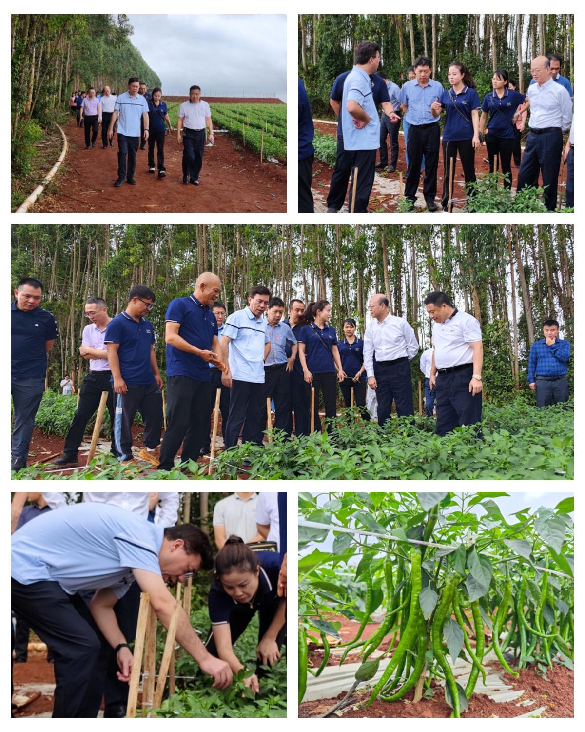 首页| J9集团国际站官方网站