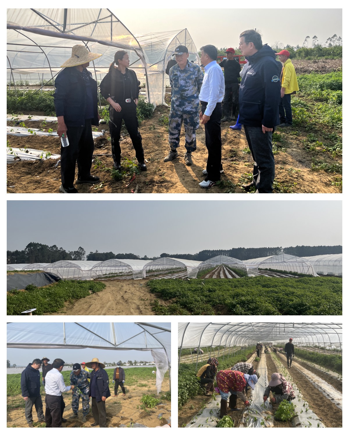 首页| J9集团国际站官方网站