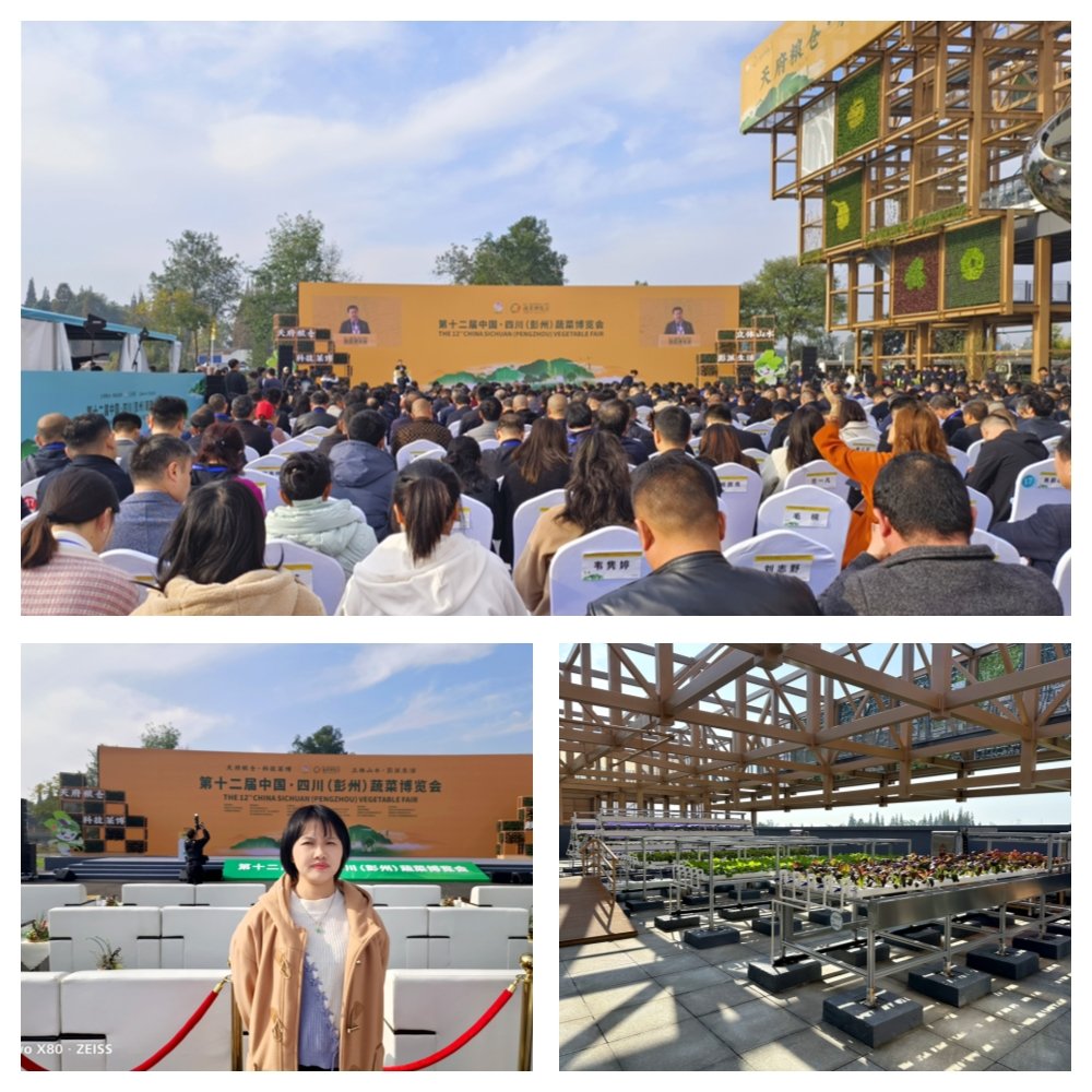 首页| J9集团国际站官方网站