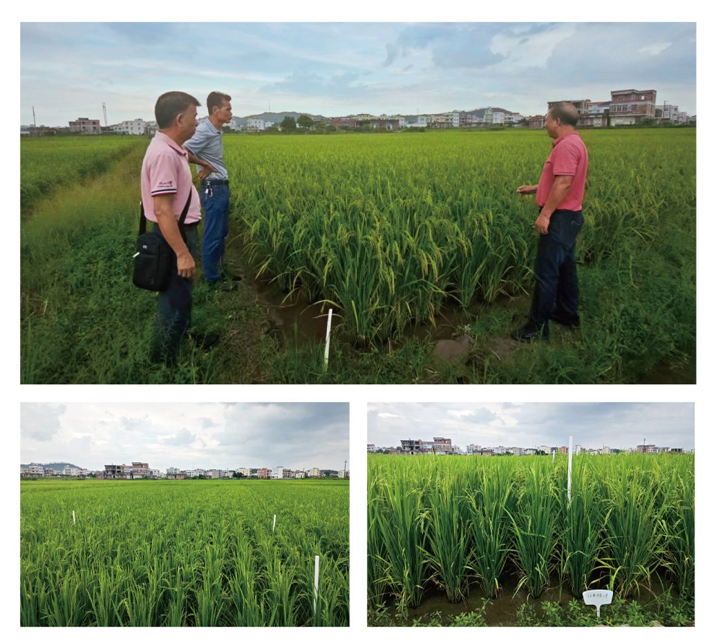首页| J9集团国际站官方网站