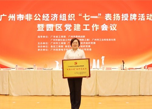 标杆引领，荣誉升级！集团党支部荣膺广州市非公有造经济组织“双强六好”标