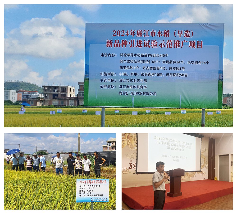 首页| J9集团国际站官方网站