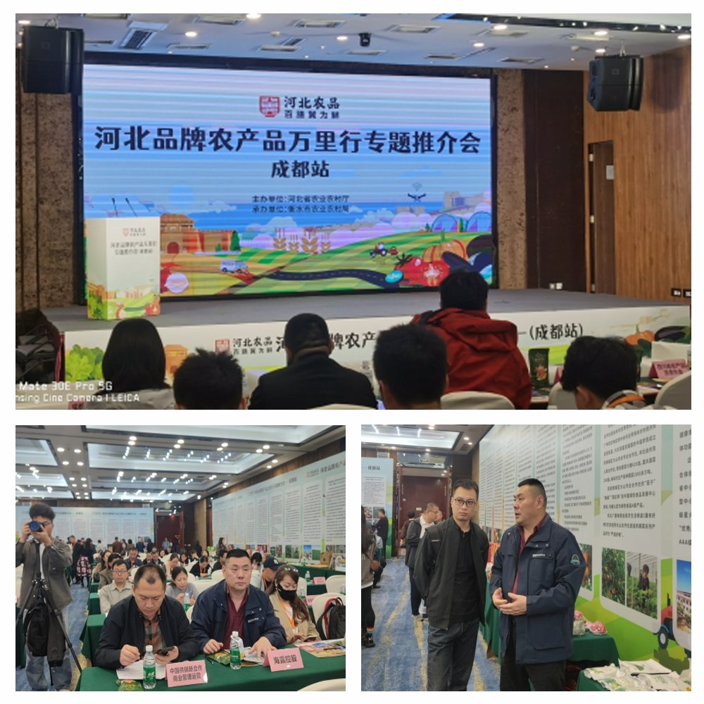 首页| J9集团国际站官方网站