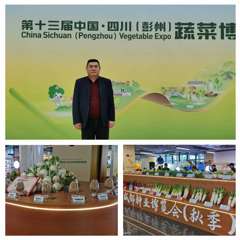 首页| J9集团国际站官方网站