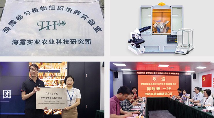 首页| J9集团国际站官方网站