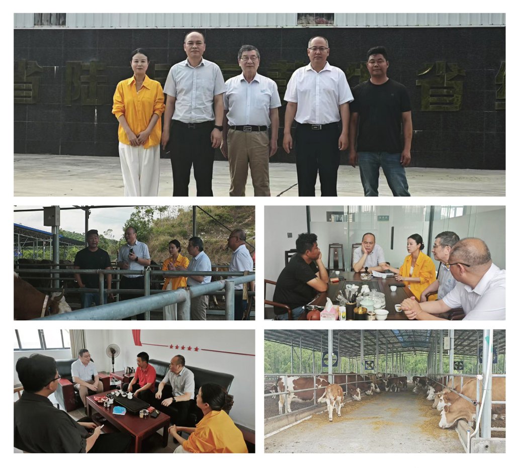 首页| J9集团国际站官方网站